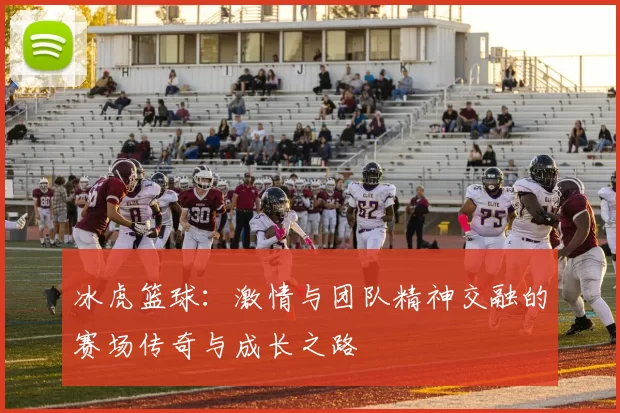 冰虎篮球：激情与团队精神交融的赛场传奇与成长之路