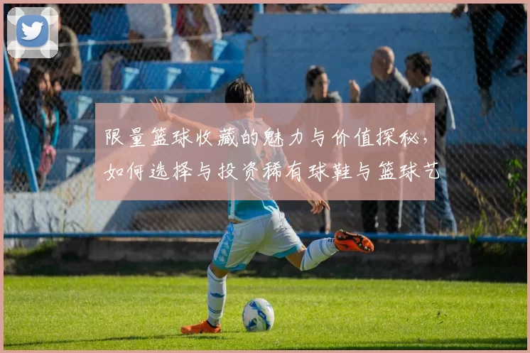 限量篮球收藏的魅力与价值探秘，如何选择与投资稀有球鞋与篮球艺术品